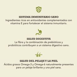 null - Product thumbnail 3.0